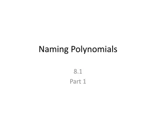 Polynomials: Types and Naming Conventions