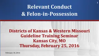 Understanding Federal Guidelines on Felon-in-Possession Offenses