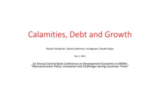 Public Debt and Economic Growth in Developing Countries Amid Calamities