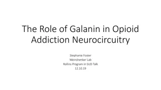 The Role of Galanin in Opioid Addiction Neurocircuitry