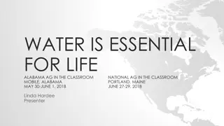 Exploring Water Education in Alabama: Activities and Resources