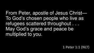 Encouragement in Suffering: Insights from 1 Peter