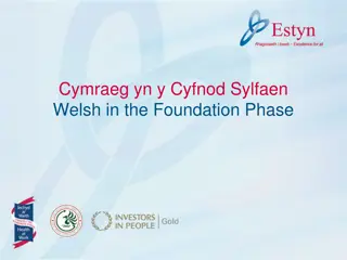 Evaluation of Welsh Language Acquisition in Foundation Phase Schools in Wales