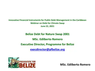 Innovative Financial Instruments for Public Debt Management in Belize