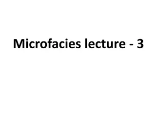 Understanding Microfacies Analysis in Sedimentary Geology