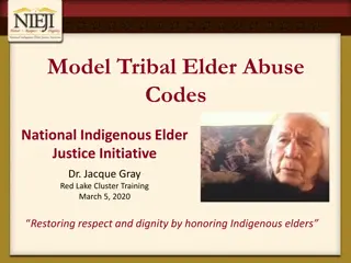 Indigenous Elder Abuse Codes and Civil Court Procedures