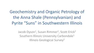 Geochemistry and Petrology of Anna Shale in Southwestern Illinois