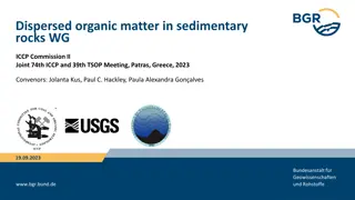 Dispersed Organic Matter in Sedimentary Rocks - Review Paper for Geological Application Studies in the 21st Century