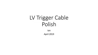 LV Trigger Cable Polish & EDH Order - Technical Details & Pricing