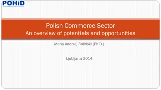 Potential and Opportunities in Polish Commerce Sector