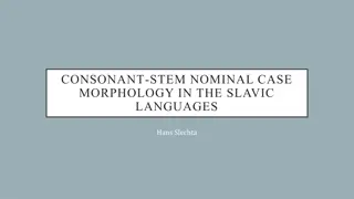 Slavic Nominal Case Morphology & Stems