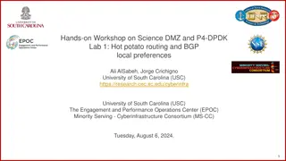 Hands-On Workshop on Science DMZ and P4-DPDK Lab