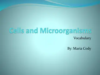 Biology: Key Terms and Concepts in Cell Biology