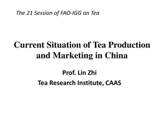 Overview of Tea Production and Marketing in China