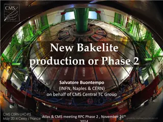 New Bakelite Production Phase 2: Salvatore Buontempo Presentation at CMS Central TC Group Meeting