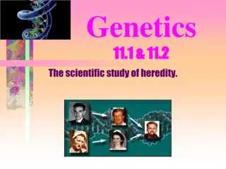 Genetics: The Study of Heredity and Mendel's Discoveries