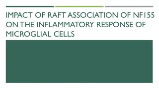 Impact of Raft Association of NF155 on Microglial Cells' Inflammatory Response