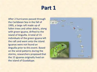 Evolutionary Forces and Speciation in Iguanas: A Study from the Caribbean