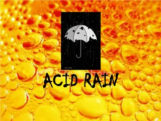 Acid Rain and Its Impact