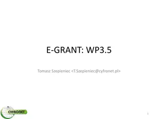 E-GRANT: Resource Allocation Tool Features and Development