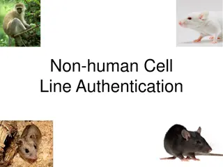 Methods of Non-Human Cell Line Authentication and Identification