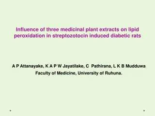 Influence of Medicinal Plant Extracts on Lipid Peroxidation in Diabetic Rats