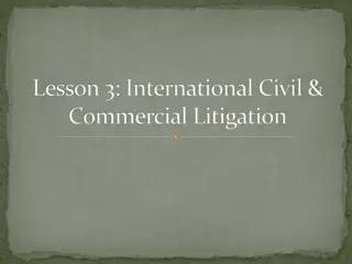 International Civil & Commercial Litigation Overview