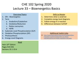 Bioenergetics Basics: Overview, Topics & Energy Diagrams