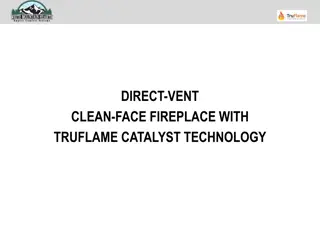 Rushmore Direct-Vent Clean-Face Fireplace with TruFlame Technology