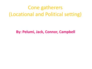 Cone Gatherers: Exploring the Locational and Political Settings