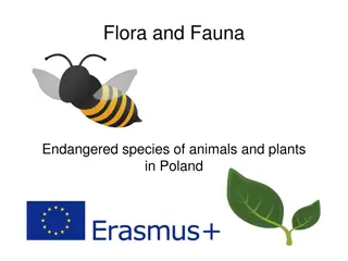 Endangered Flora and Fauna in Poland