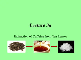 Caffeine Extraction from Tea Leaves