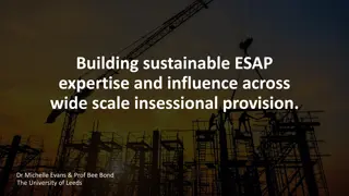 Enhancing ESAP Expertise and Influence for Sustainable Insessional Provision