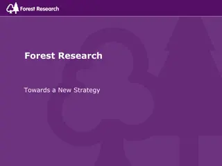 Forest Research Strategy Development Towards Bold Growth and Identity Reinforcement