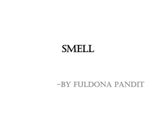 Olfaction: The Sense of Smell in Animals and Humans