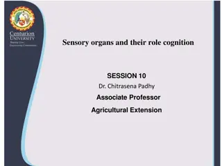 Role of Sensory Organs in Cognition