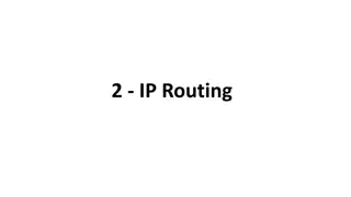 IP Routing and Switching in Computer Networks