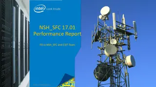 NSH_SFC 17.01 Performance Report Summary