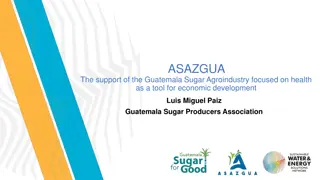 Guatemala Sugar Agroindustry's Health-Focused Economic Development Initiatives