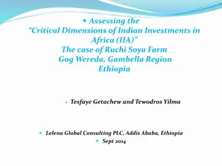 Assessing Critical Dimensions of Indian Investments in Africa: A Case Study in Ethiopia