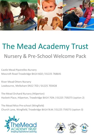 The Mead Academy Trust Nursery & Pre-School Overview