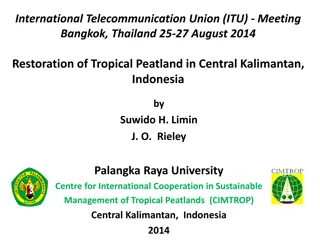 Restoration of Tropical Peatland in Central Kalimantan: Addressing Ecological and Economic Concerns