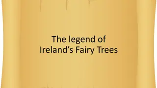 The Legends of Ireland's Fairy Trees