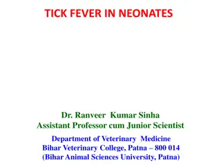 Tick Fever in Neonates: Symptoms, Diagnosis, Treatment, and Prevention