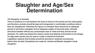 Animal Slaughter Methods and Welfare Considerations