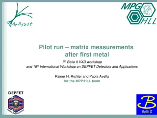 Matrix Measurements and Analysis After First Metal Workshop