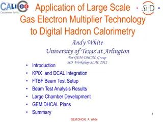 Application of Large-Scale Gas Electron Multiplier Technology to Digital Hadron Calorimetry by Andy White