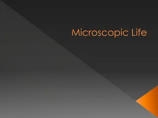 Exploring Microscopic Life Through a Microscope