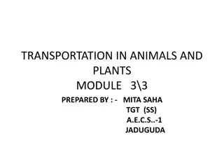 Understanding Transportation in Animals and Plants Module