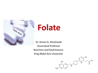 Understanding Folate: Structure, Sources, and Bioavailability